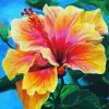 Orange Hibiscus Plant Art paint by number