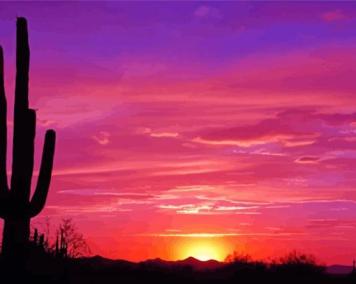 Pinky Sunset Arizona paint by number