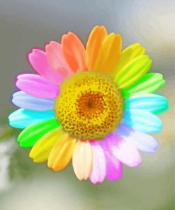 Rainbow Colorful Daisy Flower paint by number