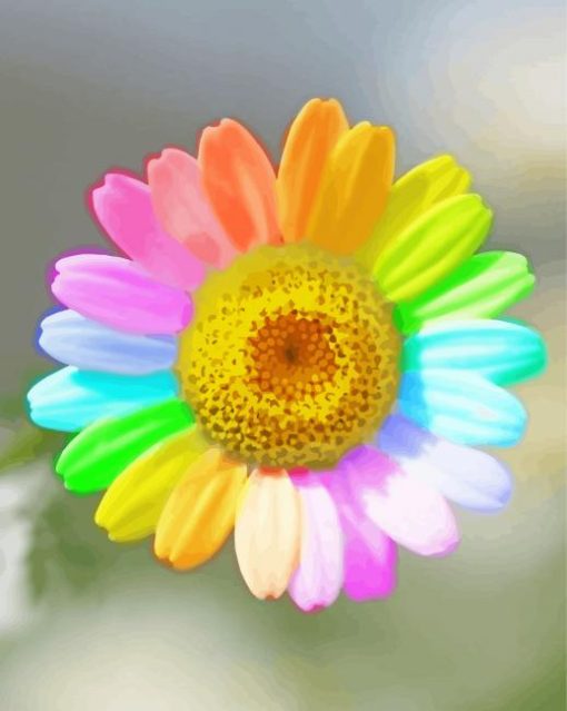 Rainbow Colorful Daisy Flower paint by number