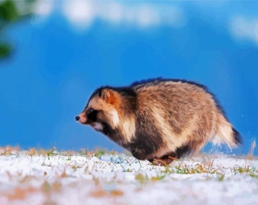Snow Raccoon Running Paint by number