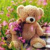 Teddy Bear In Flowers Field paint by number