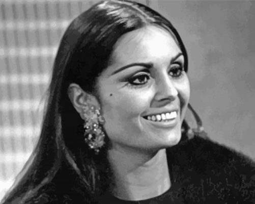 Vintage Daliah Lavi paint by number