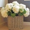 White Basket With Hydrangeas Paint by number