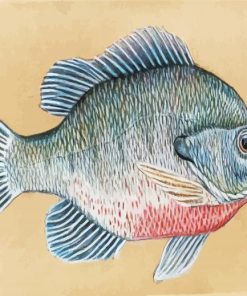 The Bream Fish Paint by number