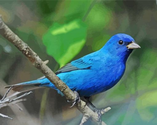 Aesthetic Indigo Bunting paint by number
