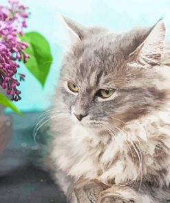 Aesthetic Grey Siberian Cat paint by number
