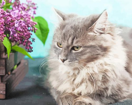 Aesthetic Grey Siberian Cat paint by number