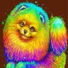 Rainbow Colorful Pomeranian Paint by number