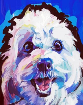 Cavachon Dog Paint By Numbers