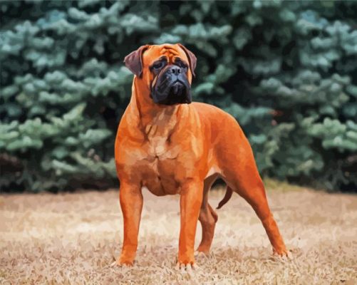 The Bullmastiff Dog Paint By Numbers