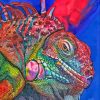 Abstract Colorful Iguana Paint By Number