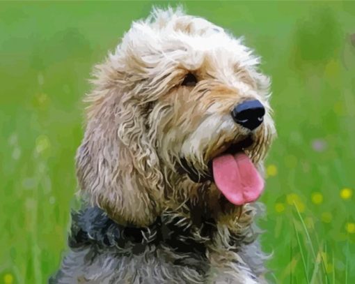 Otterhound Dog Paint By Numbers