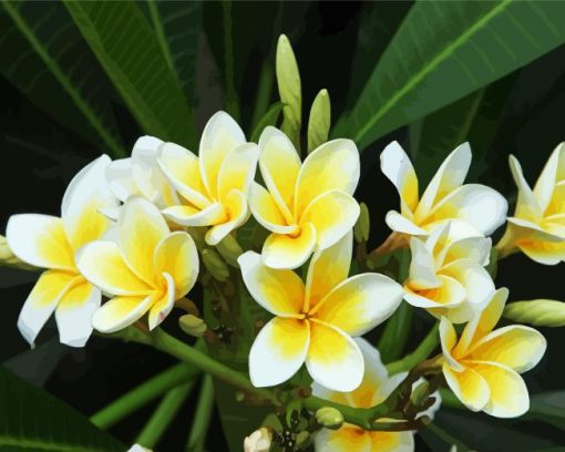 Yellow Hawaiian Flower Paint By Numbers