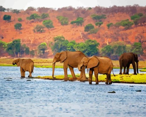 African Elephants Botswana Paint By Numbers