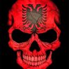 Albanian Flag Skull Paint By Number