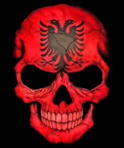 Albanian Flag Skull Paint By Number