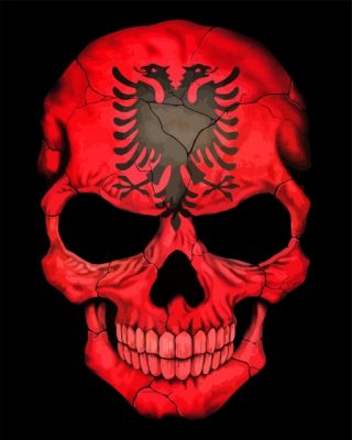 Albanian Flag Skull Paint By Number