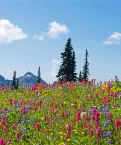 Alpine Meadows Landscape Paint By Number