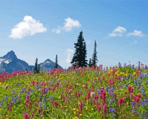 Alpine Meadows Landscape Paint By Number