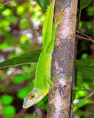 Anolis Garmani Paint By Numbers