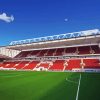 Ashton Gate Stadium In England Paint By Numbers