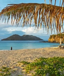 Beach In Saint Barthelemy Paint By Number