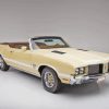 Beige Cutlass Supreme Paint By Number