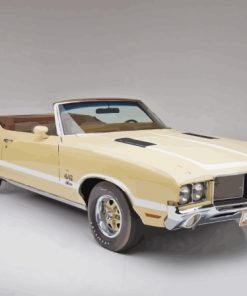 Beige Cutlass Supreme Paint By Number