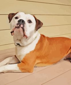 Beige Old English Bulldog Paint By Number