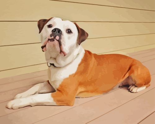 Beige Old English Bulldog Paint By Number