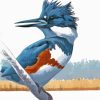 Belted Kingfisher Bird Art Paint By Number