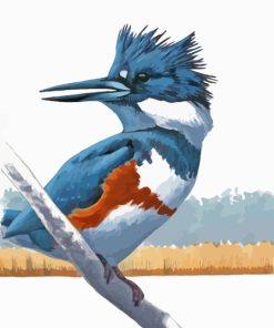 Belted Kingfisher Bird Art Paint By Number