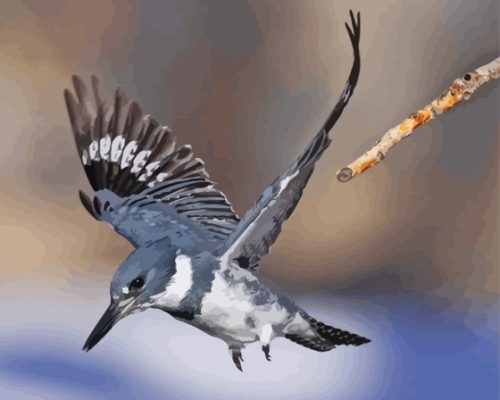 Belted Kingfisher Flying Paint By Number