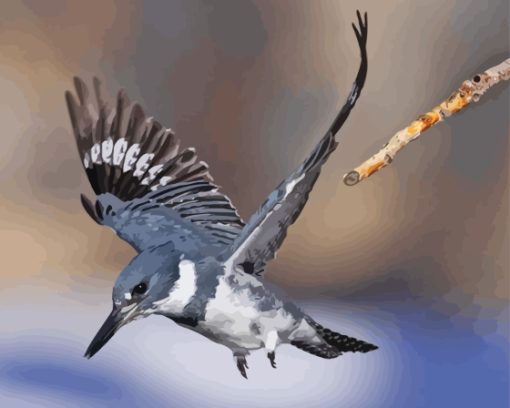 Belted Kingfisher Flying Paint By Number