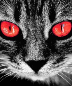 Black And White Cat With Red Eyes Paint By Number