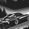 Black And White Buick Riviera Art Paint By Number