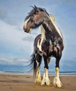 Black And White Horse At Beach Paint By Number