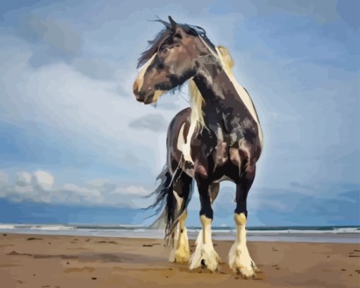 Black And White Horse At Beach Paint By Number