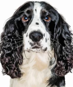 Black And White Spaniel Face Paint By Number
