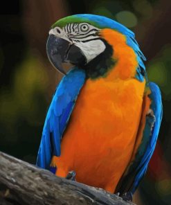 Blue And Gold Macaw On Tree Paint By Number