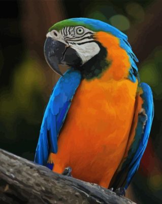 Blue And Gold Macaw On Tree Paint By Number