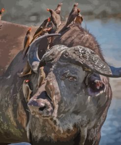 Buffalo And Red Billed Oxpeckers Birds Paint By Number