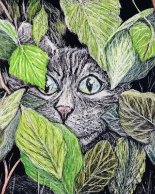 Cat Behind Leaves Art Paint By Number