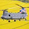 Chinook Helicopter Paint By Number