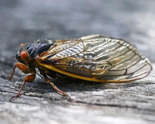 Cicadas Paint By Numbers