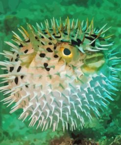 Close Up Puffer Fish Paint By Number