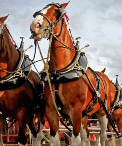 Close Up Budweiser Clydesdales Horses Paint By Numbers