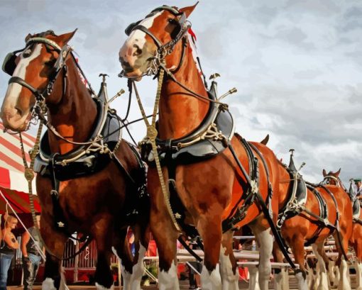 Close Up Budweiser Clydesdales Horses Paint By Numbers