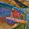 Colorful Steelhead Fish Paint By Numbers
